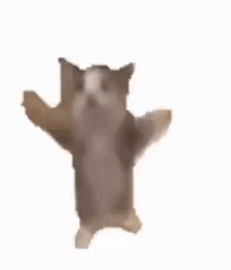 Wetter Hannover 21 Tage – Happy happy happy cat gif