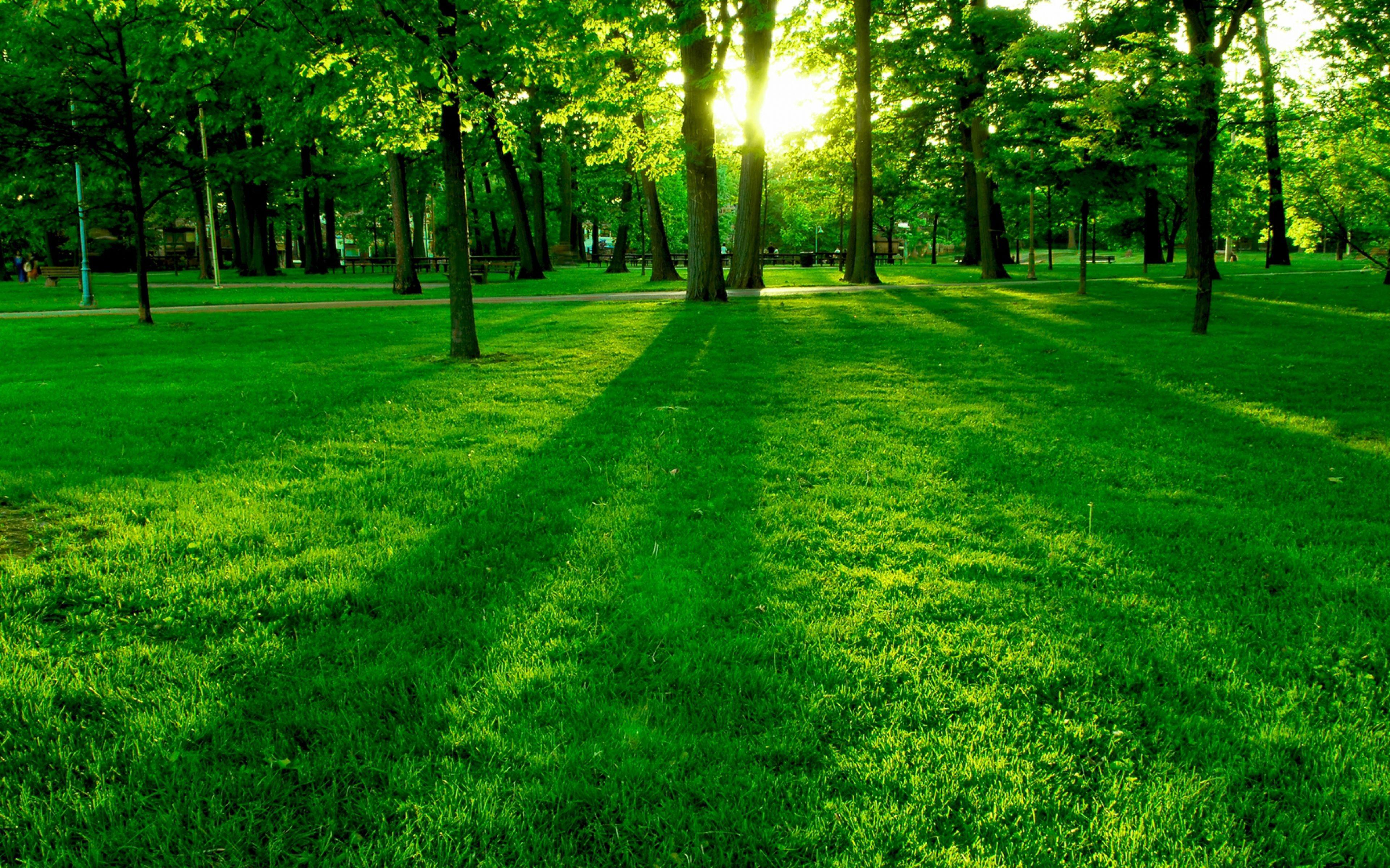  4K Ultra HD Green Wallpapers - Top Free 4K Ultra HD Green Backgrounds Motiv 
