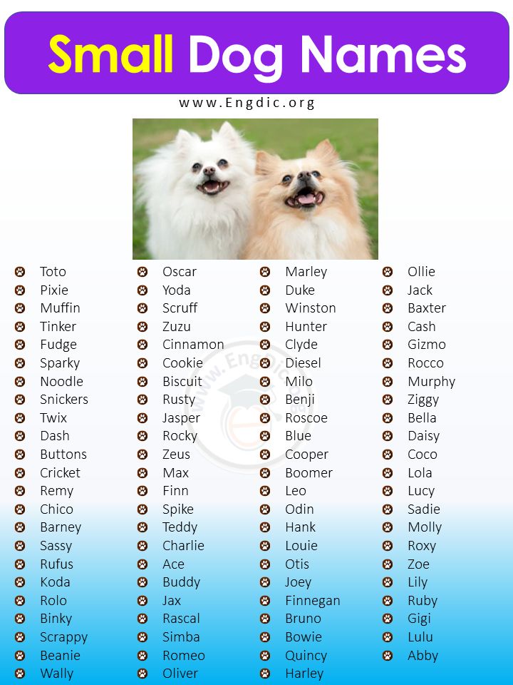  Cute Puppy Names 120 Unique & Adorable Japanese Dog Names 
