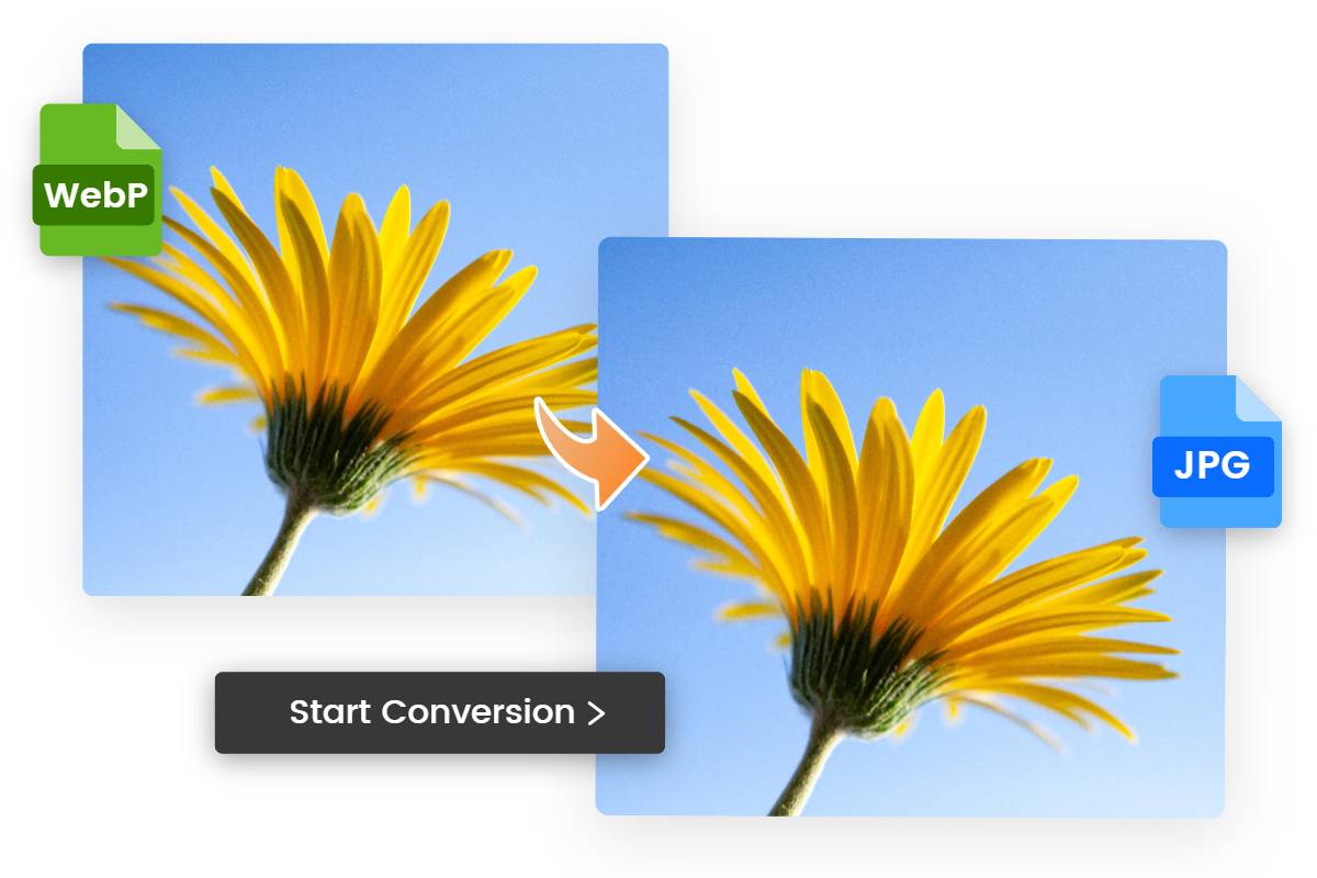 Convert  To British Pound – File format converter software free