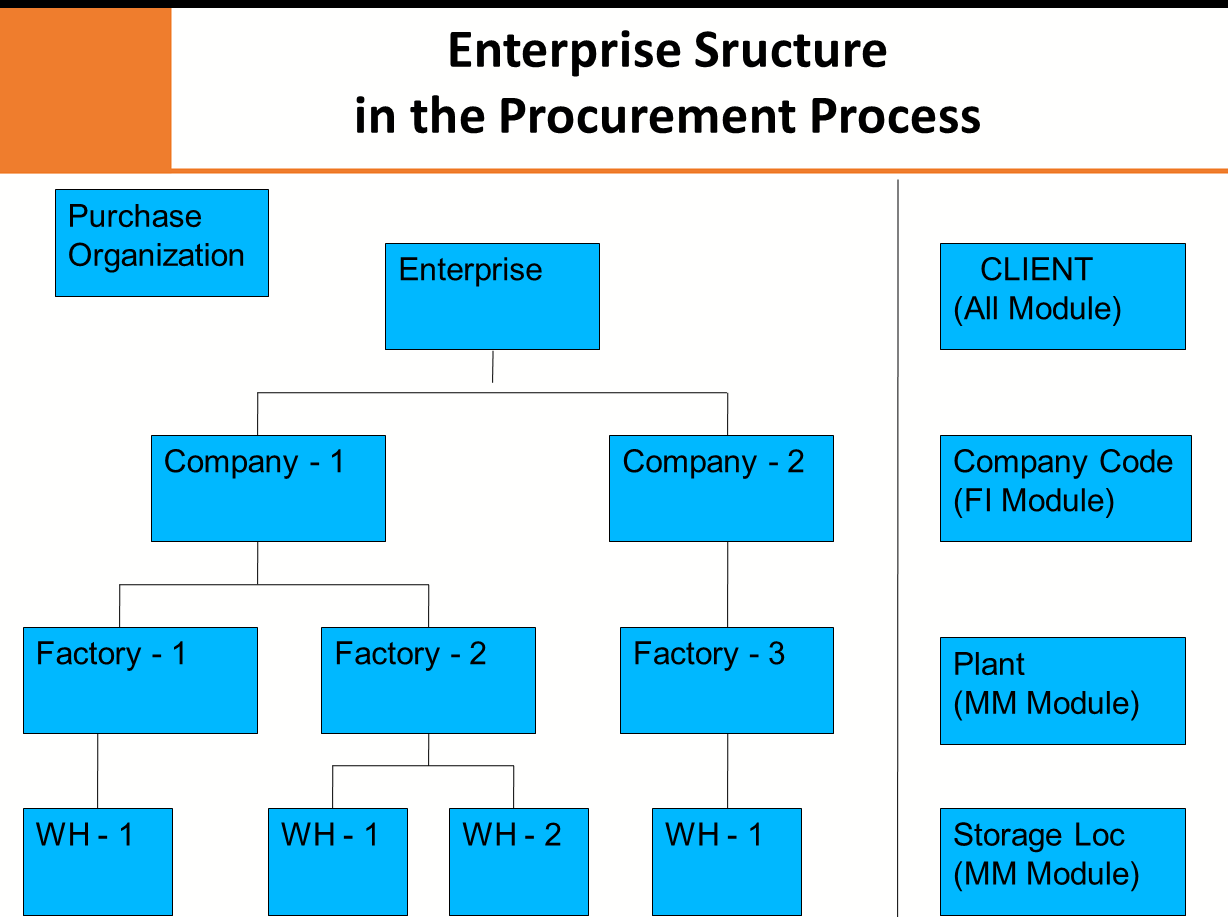 SAP MM : Organizational Structure in SAP Procurement Process SAPGyan.com