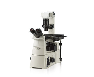 Hyundai Motor Finance Email Address – Nikon eclipse ti-s inverted microscope