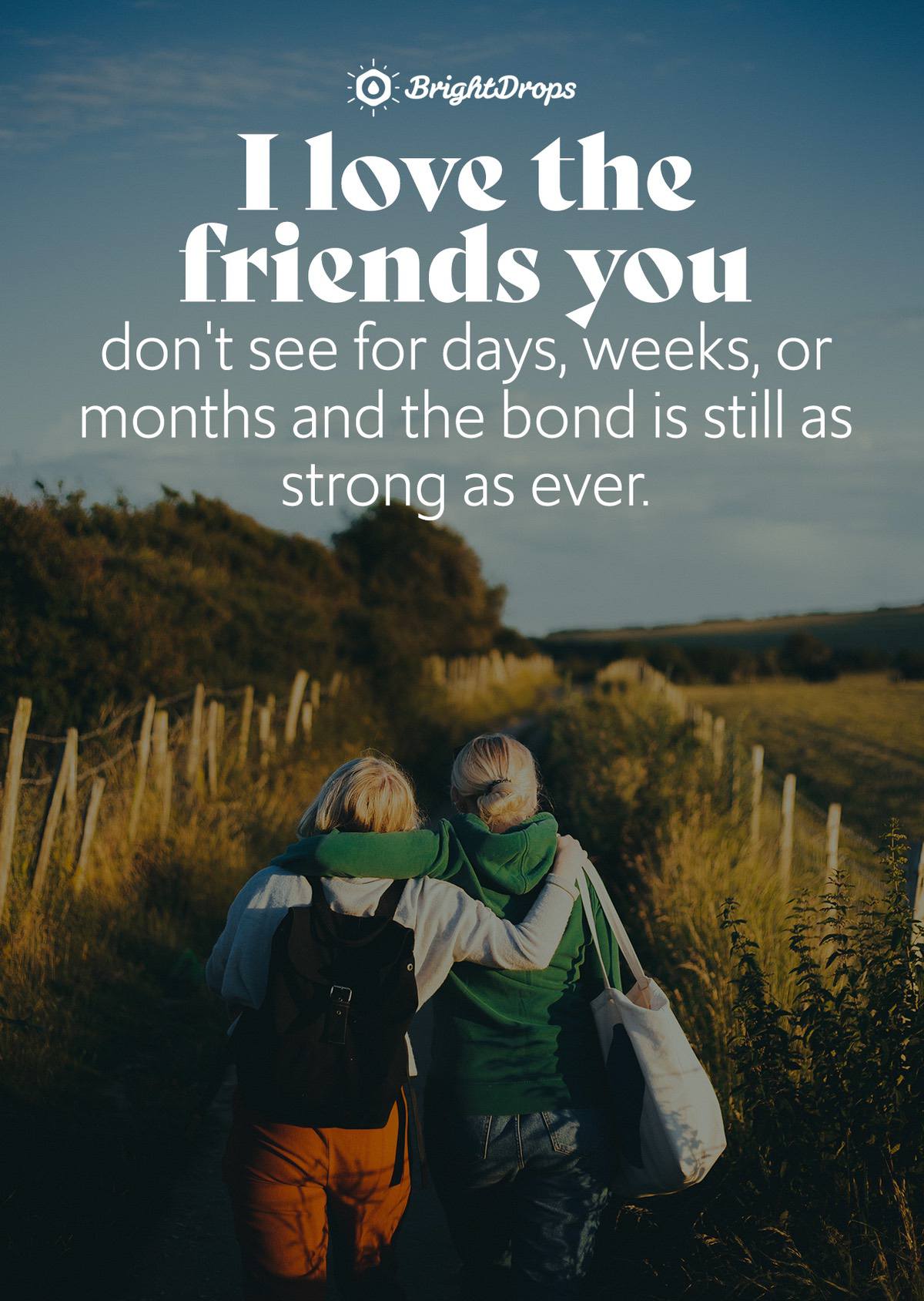 Wetter Halle Saale 16 Tage – 120 friendship quotes your best friend will love