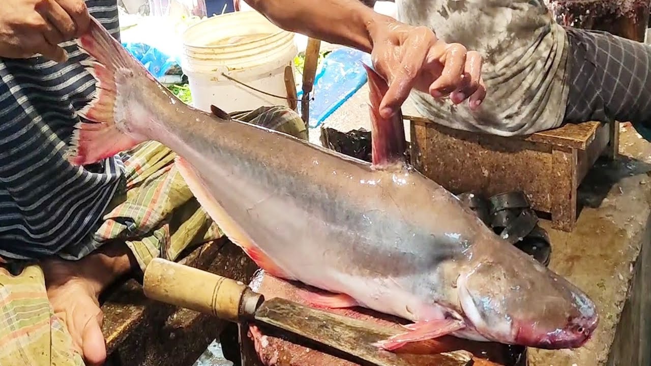  Amazing Pangas Fish Cutting Skills Live In Fish Market - YouTube 