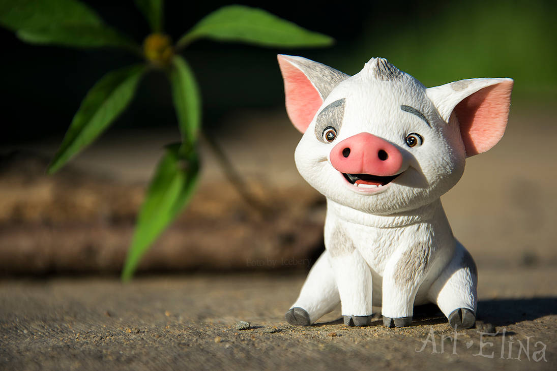 Hundredx Fundraiser Guide – Moana: why pua the pig stayed behind on the island