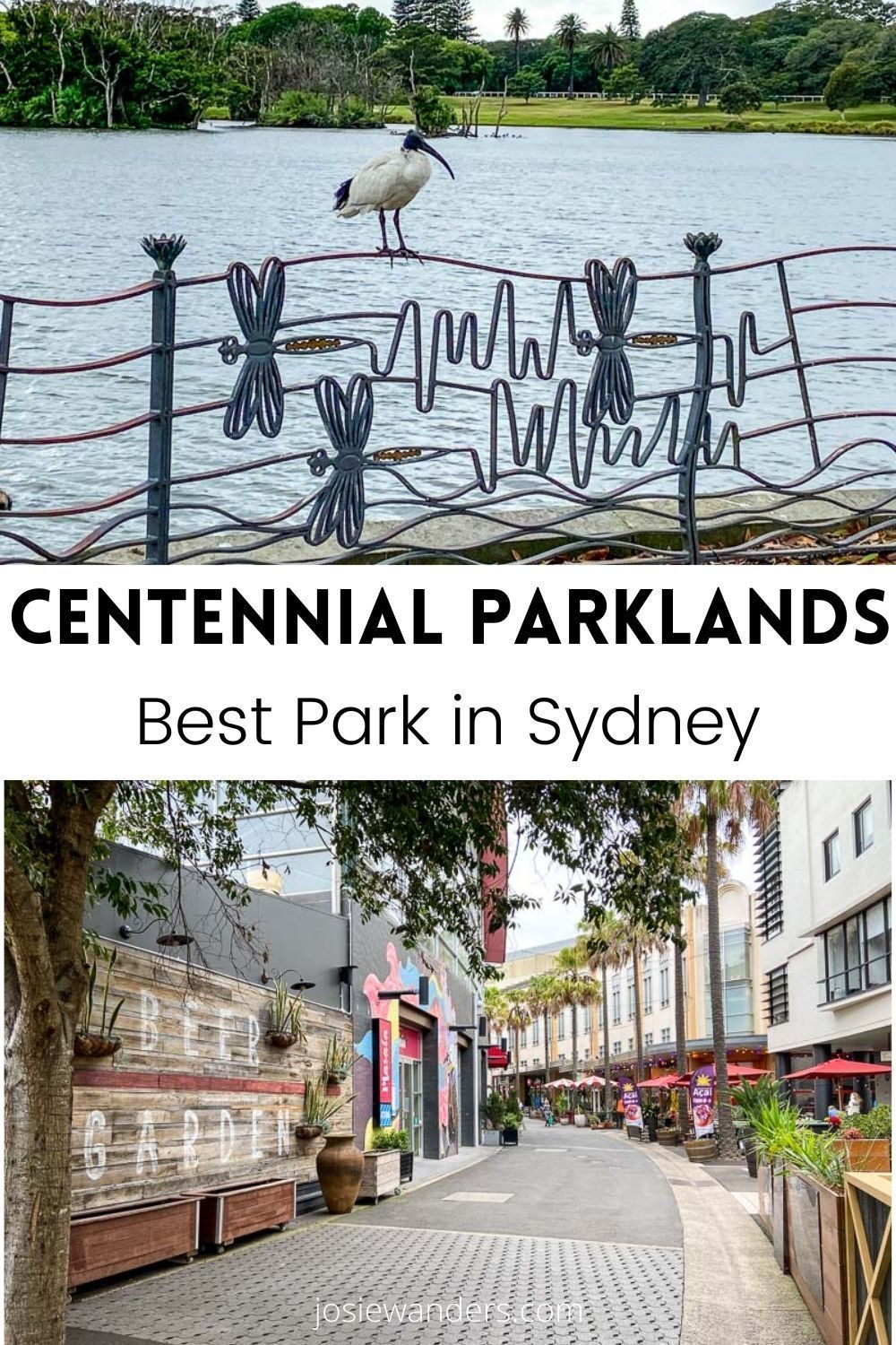 Centennial park sydney – Artofit Bild & Inspiration Foto zu Centennial park sydney – Artofit