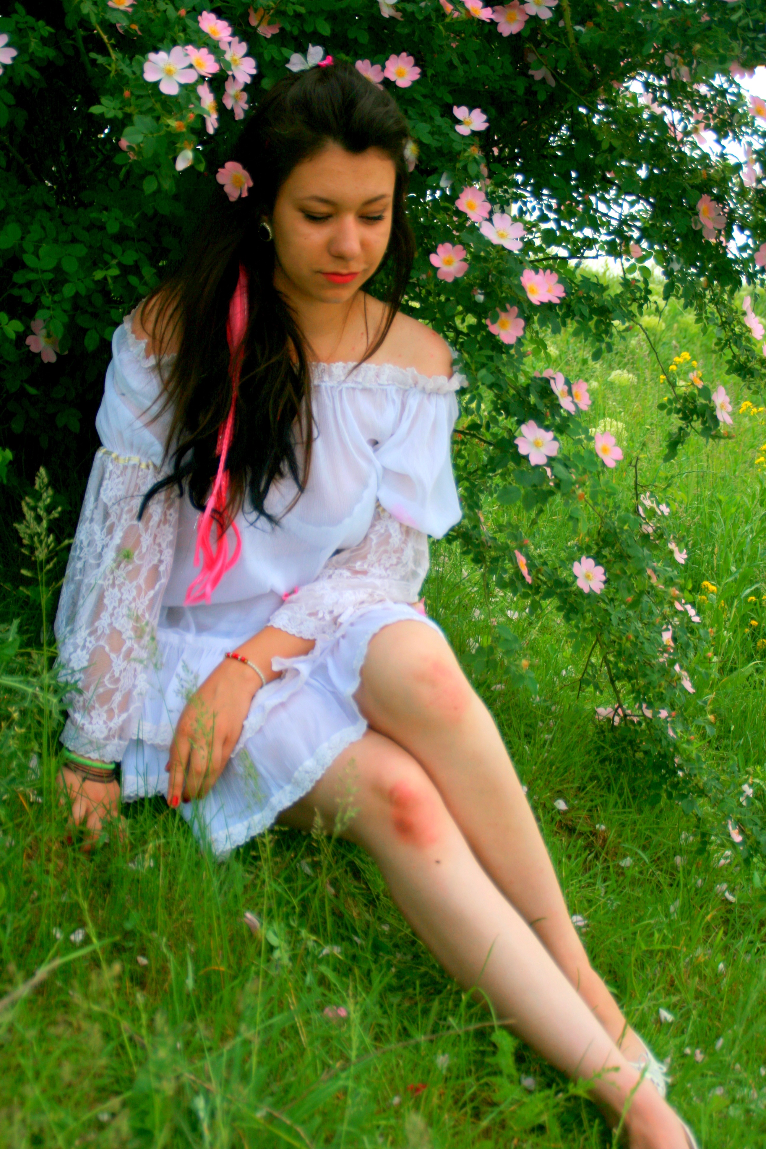  Free Images : nature, grass, plant, girl, woman, hair, lawn, meadow 